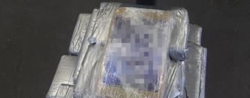 В порту в Одесской области изъяли партию кокаина стоимостью 10 млн долларов